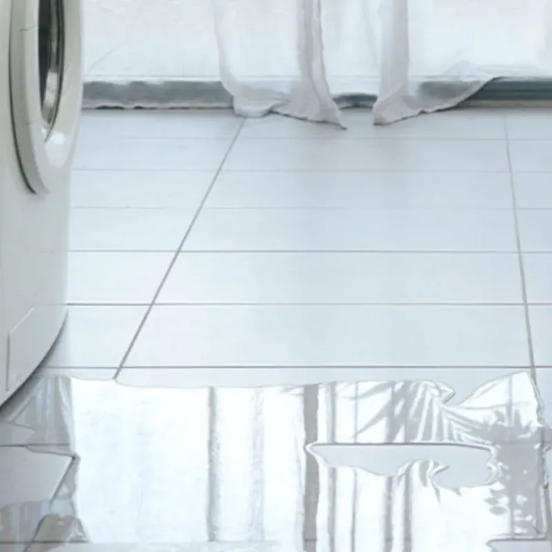 Appliance Leak Cleanup in North Aurora, IL