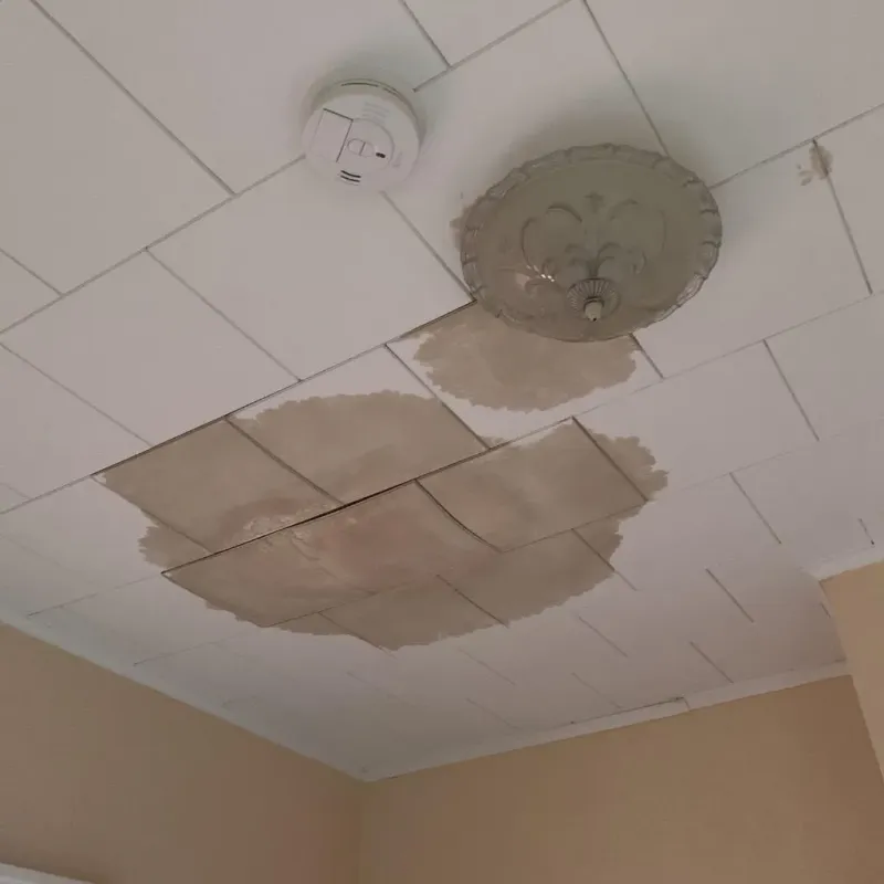Ceiling Water Damage Repair in North Aurora, IL