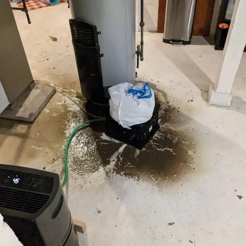 Sewage Backup Cleanup Service in North Aurora, IL
